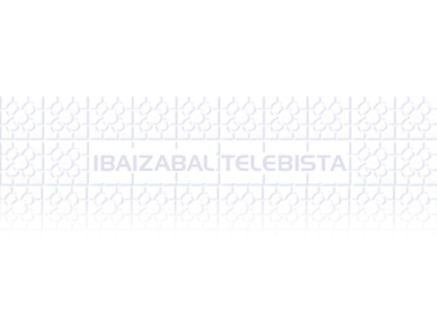 web Ibaizabal